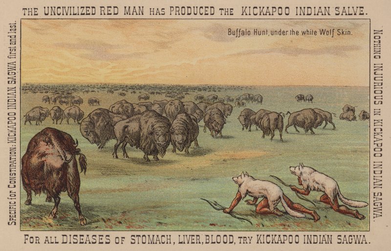 Nativos americanos con pieles de lobo blanco cazando búfalos de American School