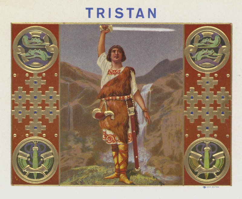 Tristán de American School