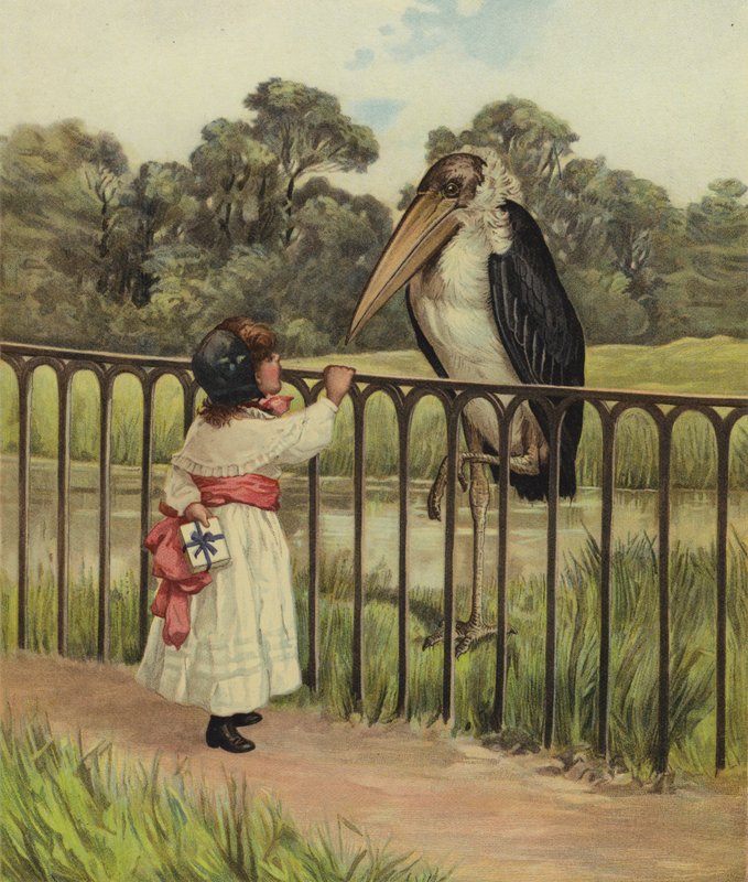 Una niña preguntando a un pájaro adjutant su nombre de English School