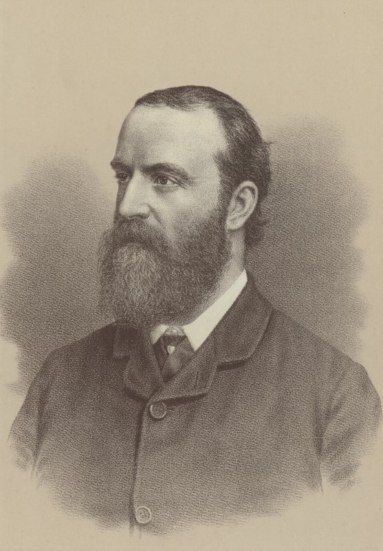 Charles Stewart Parnell, líder político nacionalista irlandés, agitador de la reforma agraria y fundador y líder del Partido Parlamentario Irlandés de English School