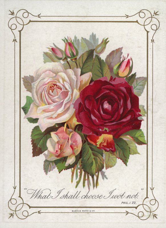 Ramillete de flores de English School