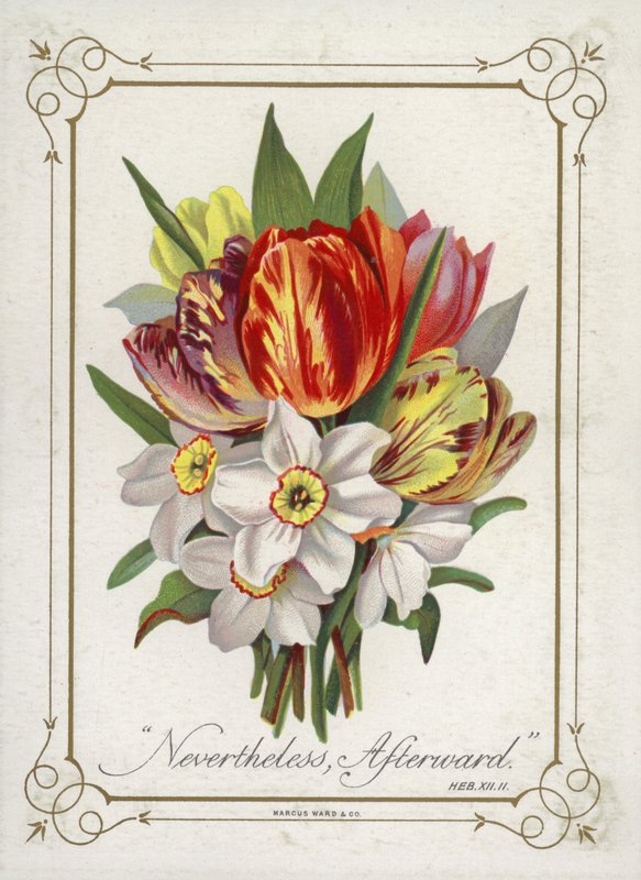 Ramillete de flores de English School