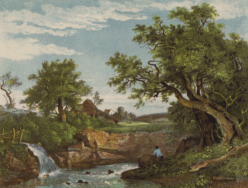 El rincón del pescador de English School