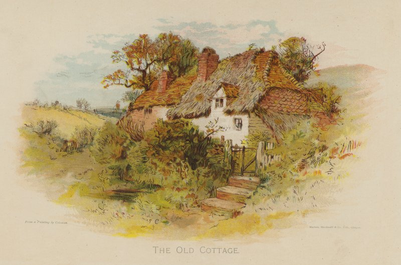 La vieja cabaña de English School