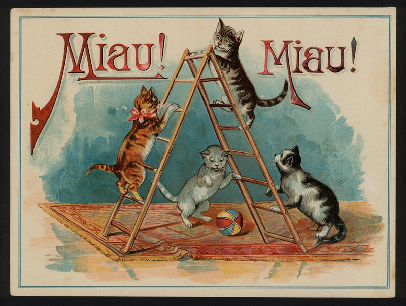 ¡Miau! ¡Miau! de European School