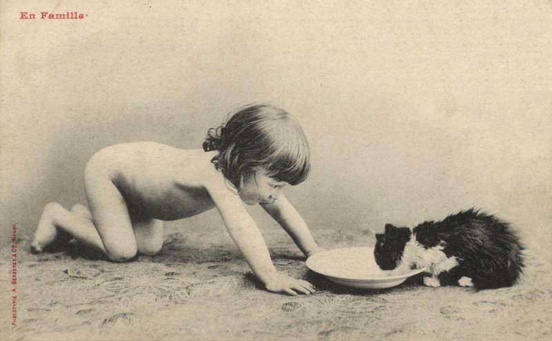 Niño con un gatito de French Photographer