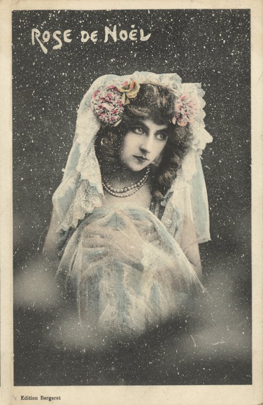 Rosa de Navidad de French Photographer