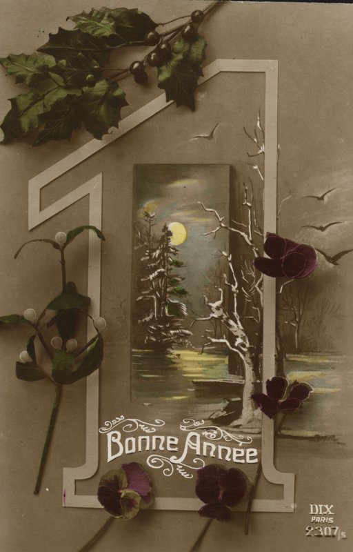 Tarjeta de Año Nuevo de French Photographer