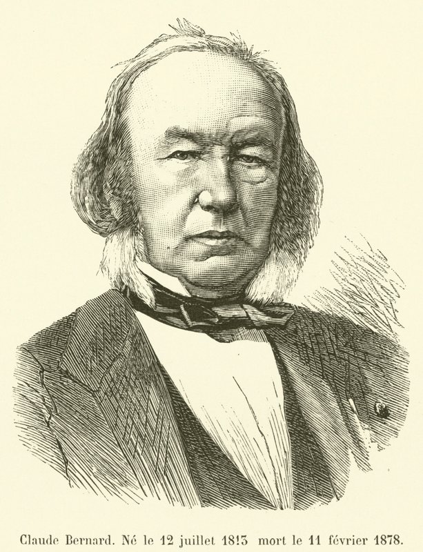 Claude Bernard, Nacido el 12 de julio de 1813, muerto el 11 de febrero de 1878 de French School