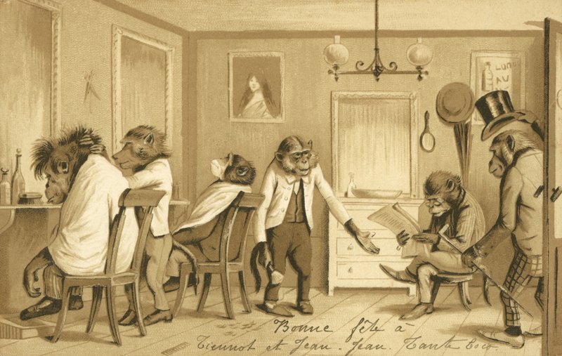 Mono dirigiendo una barbería de French School