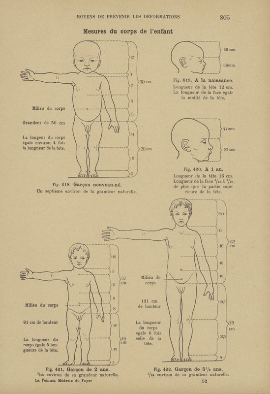 Mediciones de las proporciones ideales del cuerpo de un niño normal a varias edades de German School
