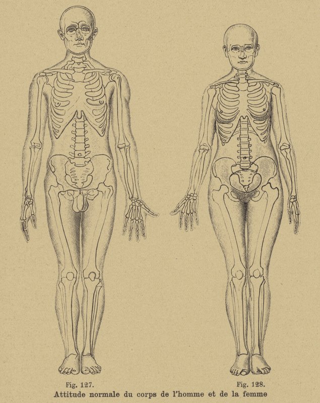 Postura normal del cuerpo de un hombre y una mujer de German School