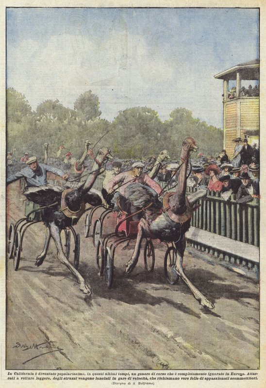 En California se ha vuelto muy popular, en estos últimos tiempos, un tipo de carreras que... de Achille Beltrame
