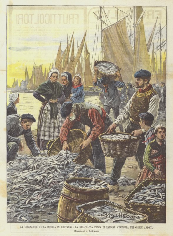 El fin de la miseria en Bretaña, la milagrosa pesca de sardinas ocurrida en días pasados de Achille Beltrame