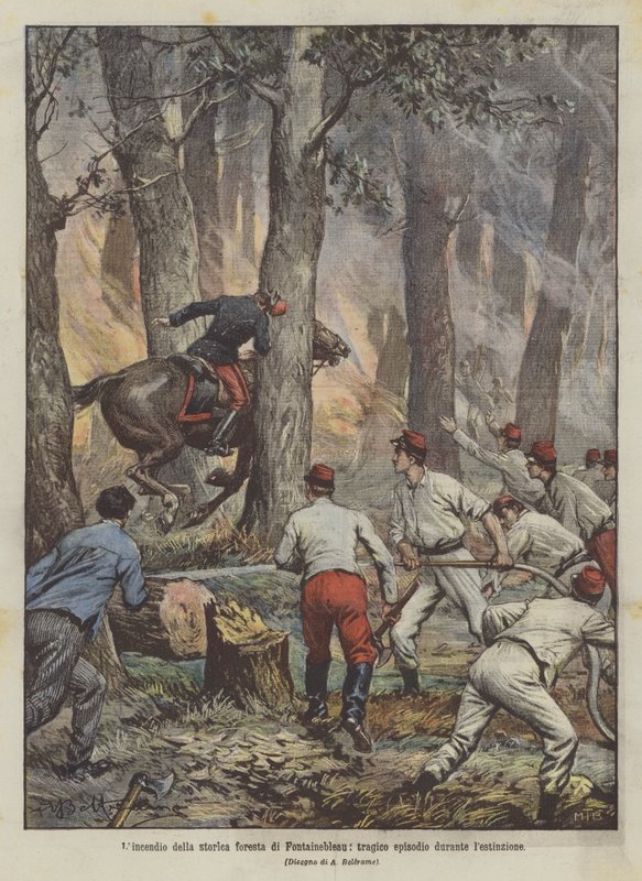 El incendio del histórico bosque de Fontainebleau, trágico episodio durante la extinción de Achille Beltrame