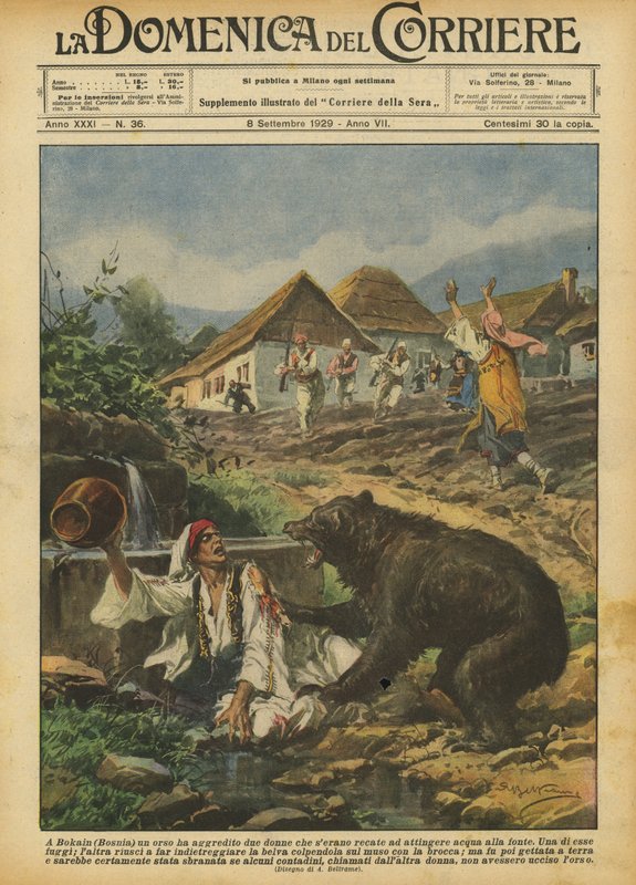 En Bokain (Bosnia) un oso atacó a dos mujeres que habían ido a recoger agua de la fuente de Achille Beltrame