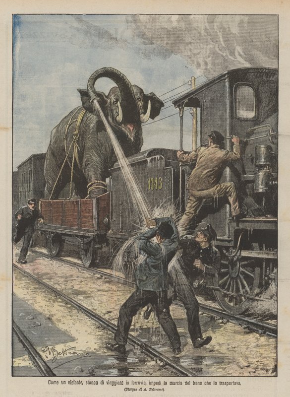 Como un elefante, cansado de viajar en tren, impidió la marcha del tren que lo transportaba de Achille Beltrame