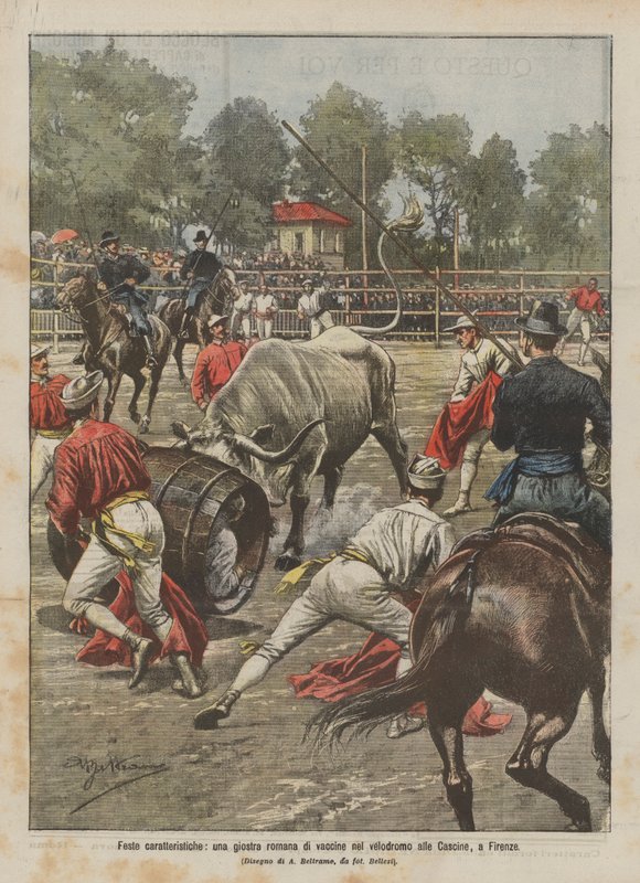 Fiestas características, una justa romana de vacas en el velódromo de las Cascine, en Florencia de Achille Beltrame