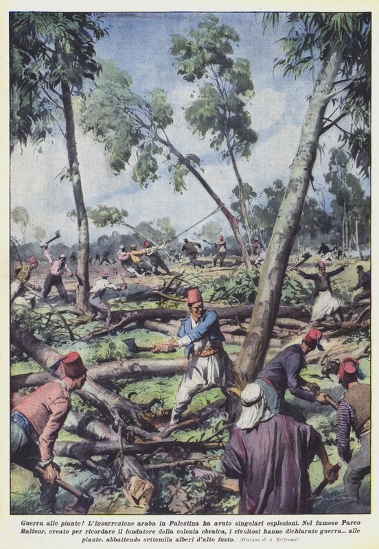 ¡Guerra a las plantas! de Achille Beltrame