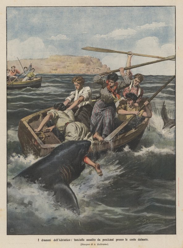 Los dramas del Adriático, niñas atacadas por tiburones cerca de las costas dálmatas de Achille Beltrame