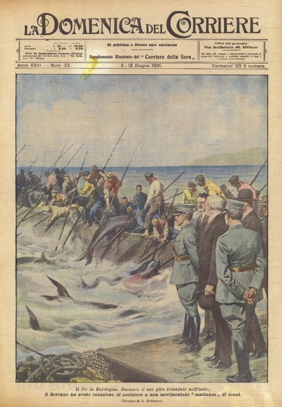 El Rey en Cerdeña de Achille Beltrame