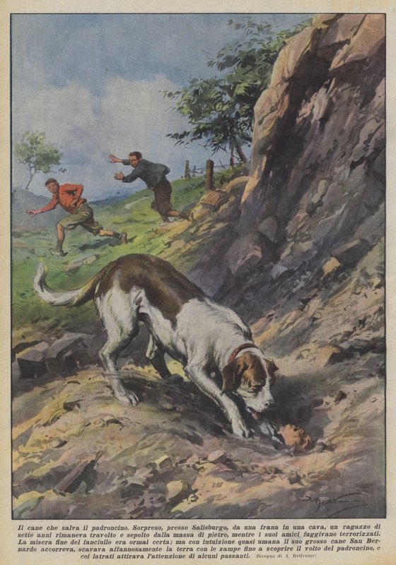 El perro que salva al niño de Achille Beltrame