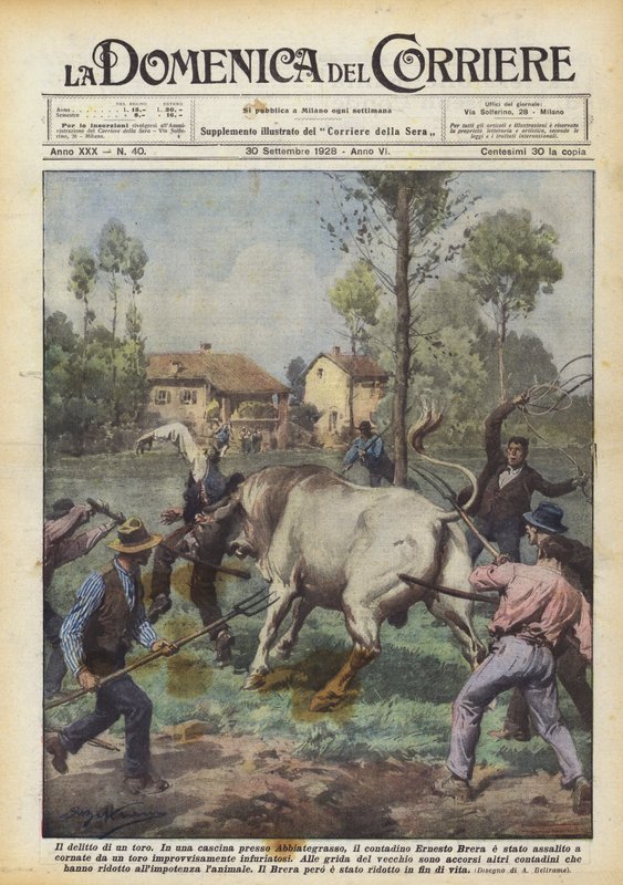 El crimen de un toro de Achille Beltrame