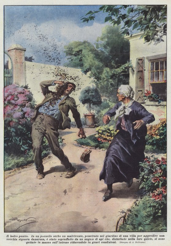 El ladrón castigado de Achille Beltrame