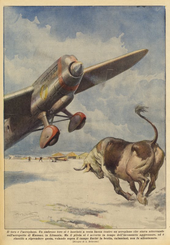 El toro y el avión de Achille Beltrame