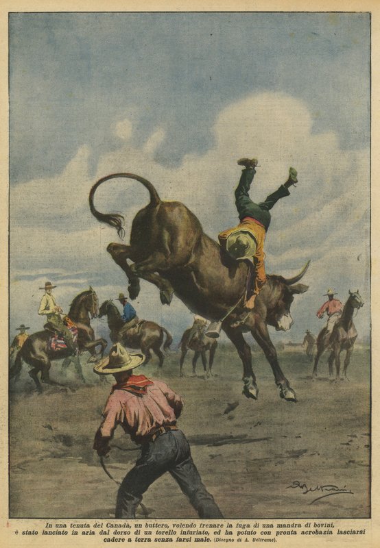 En una finca de Canadá, un vaquero, queriendo frenar la fuga de una manada de bovinos de Achille Beltrame