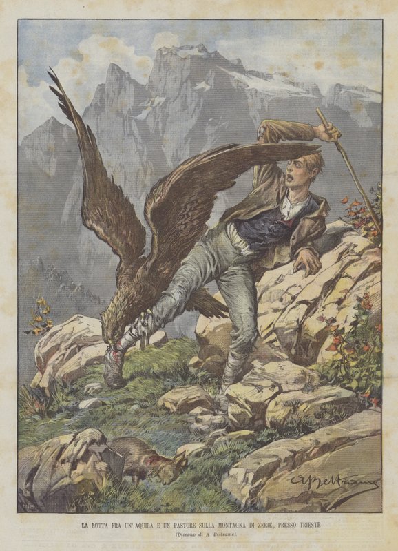 La lucha entre un águila y un pastor en la montaña de Zerie, cerca de Trieste de Achille Beltrame