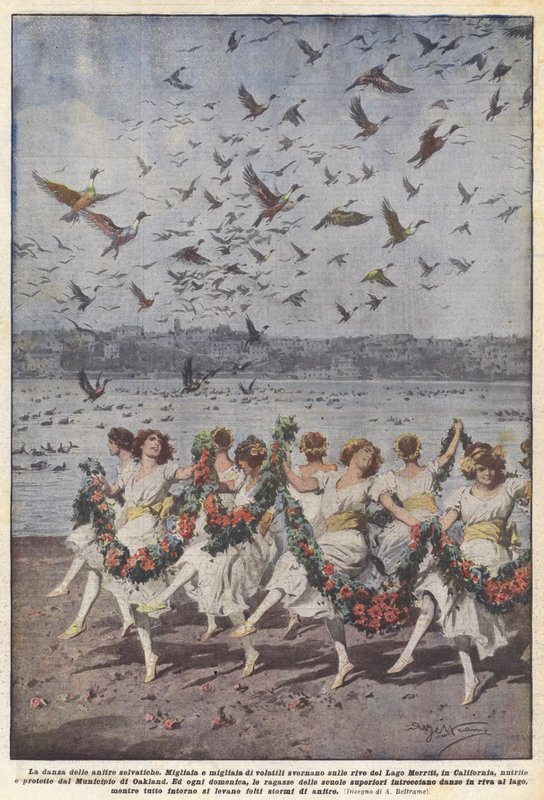 La danza de los patos salvajes de Achille Beltrame