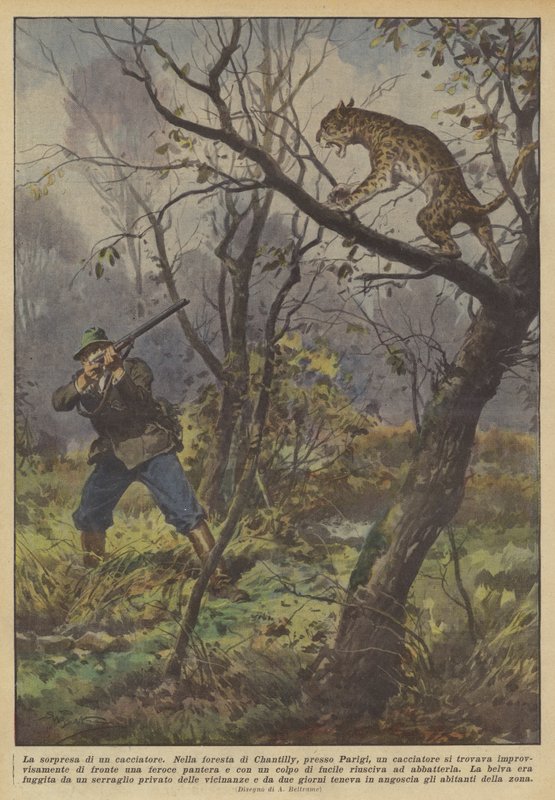 La sorpresa de un cazador de Achille Beltrame