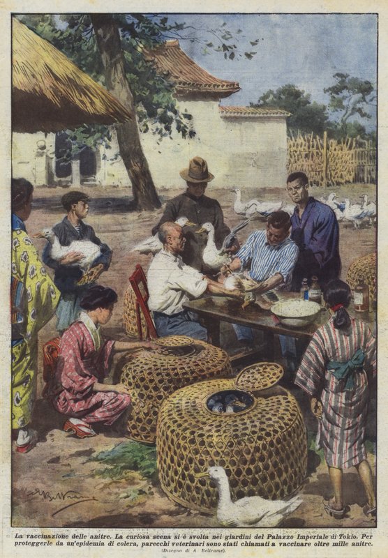 La vacunación de los patos de Achille Beltrame