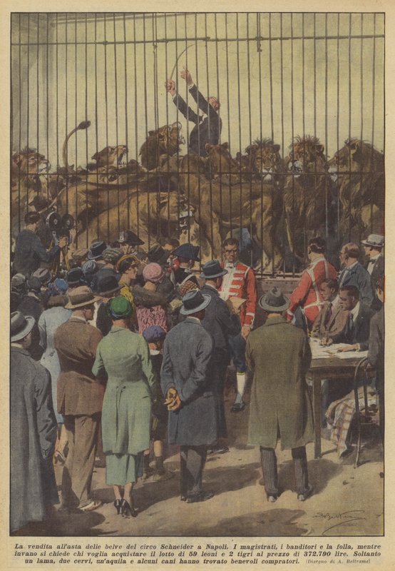La subasta de las fieras del circo Schneider en Nápoles de Achille Beltrame
