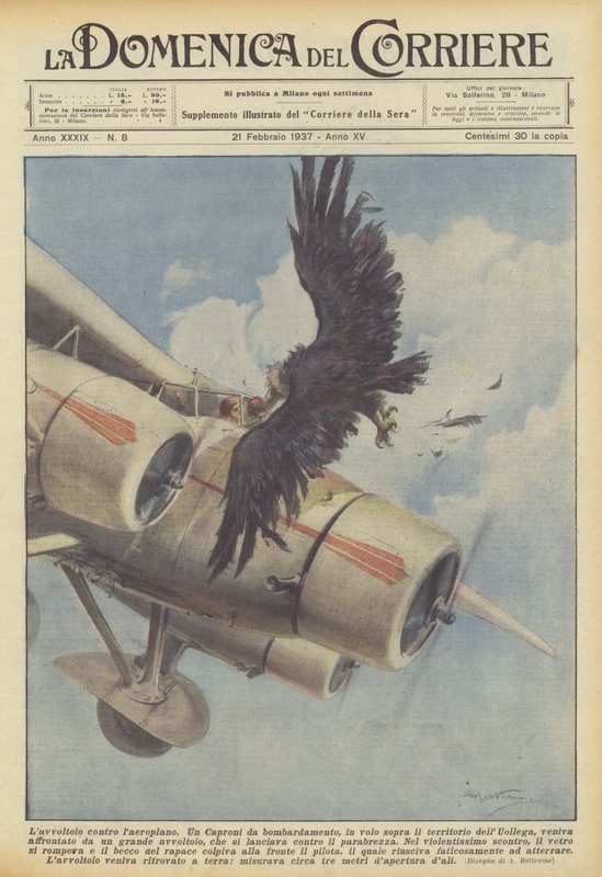 El buitre contra el avión de Achille Beltrame