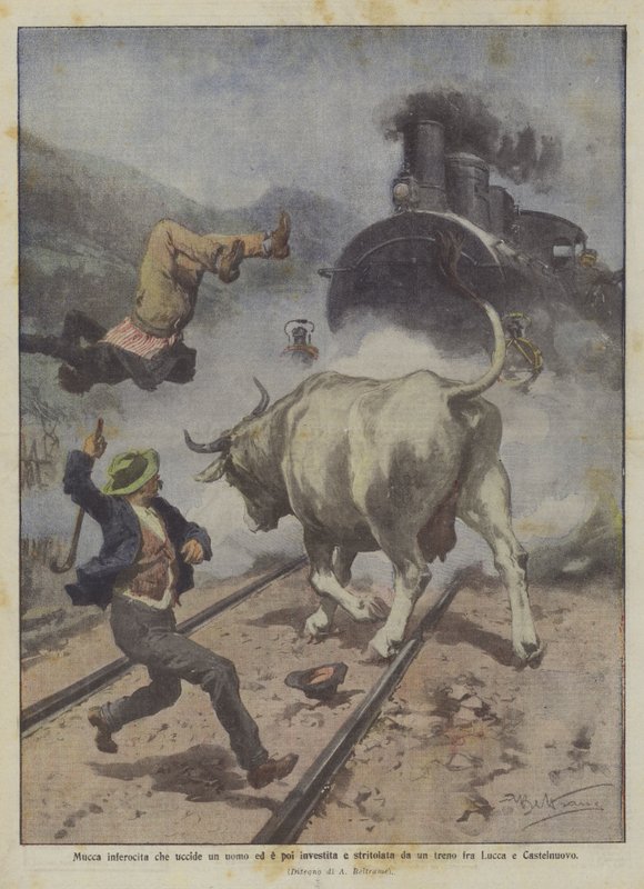 Vaca enfurecida que mata a un hombre y luego es atropellada y triturada por un tren entre Lucca y Castelnuovo de Achille Beltrame