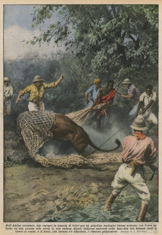 En el este de África, dos europeos en busca de bestias para un zoológico atrajeron de Achille Beltrame