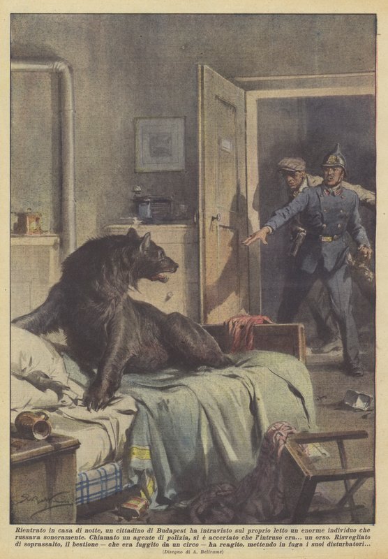 Al regresar a casa de noche, un ciudadano de Budapest vio en su cama un enorme de Achille Beltrame