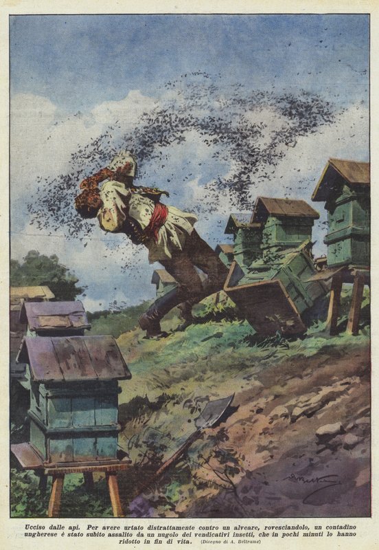 Muerto por las abejas de Achille Beltrame