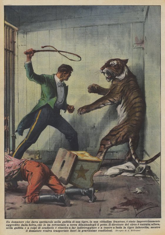 Un domador que daba espectáculo en la jaula de un tigre, en una ciudad francesa de Achille Beltrame