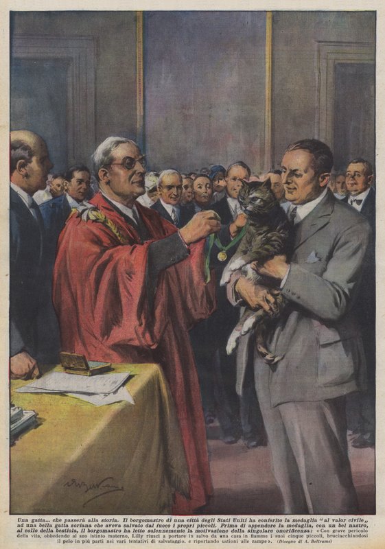 Una gata que pasará a la historia de Achille Beltrame