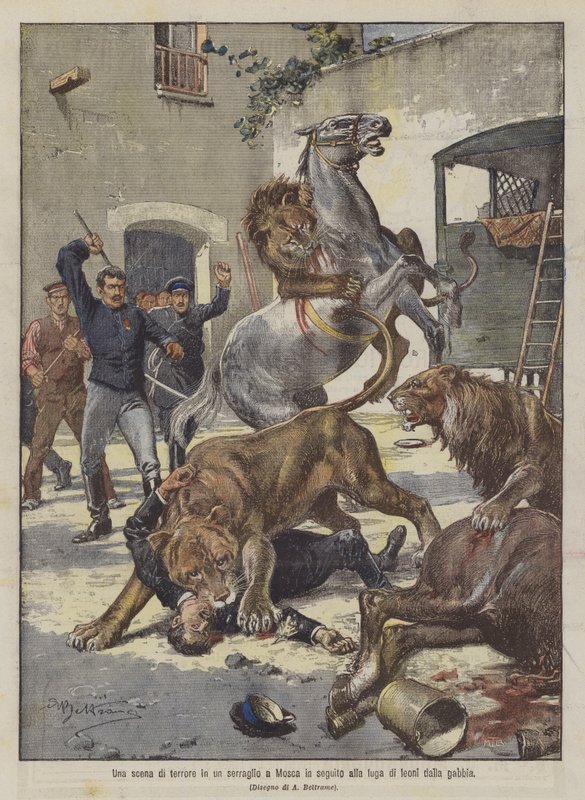 Una escena de terror en un serrallo en Moscú tras la fuga de leones de la jaula de Achille Beltrame