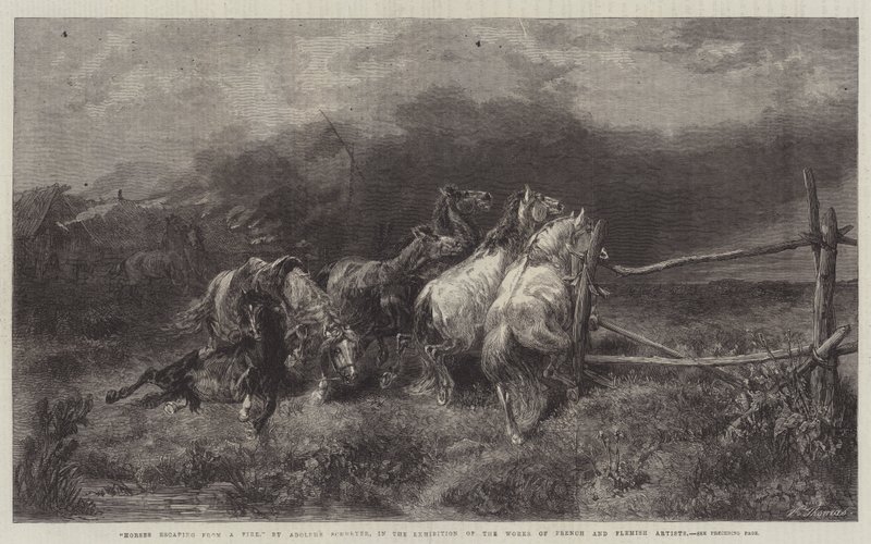 Caballos escapando de un incendio de Adolf Schreyer