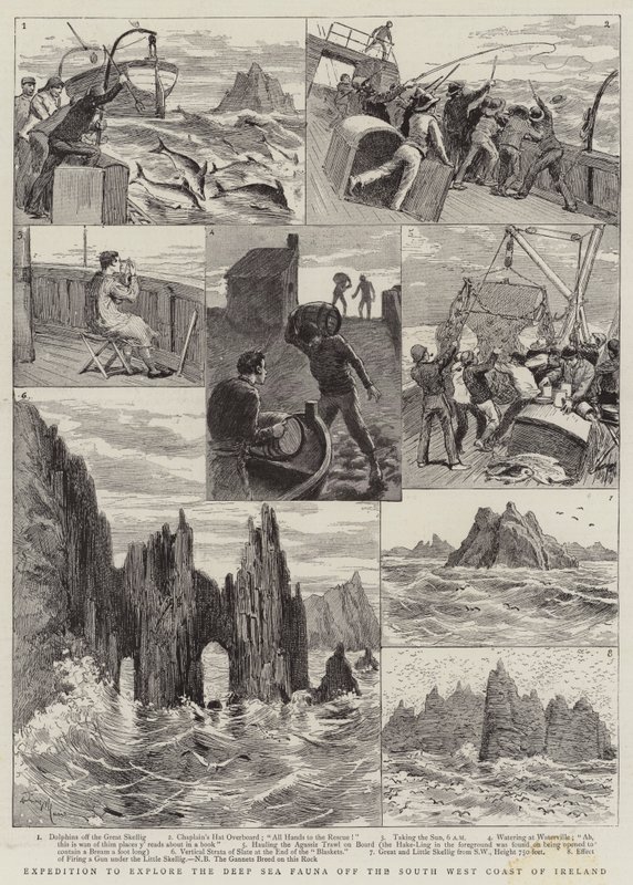 Expedición para explorar la fauna de aguas profundas frente a la costa suroeste de Irlanda de Adrien Emmanuel Marie