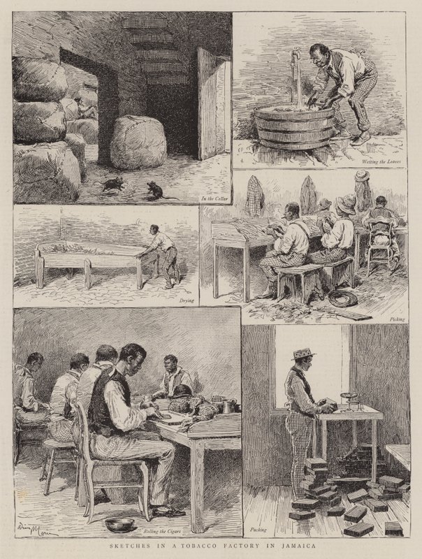 Bocetos en una fábrica de tabaco en Jamaica de Adrien Emmanuel Marie