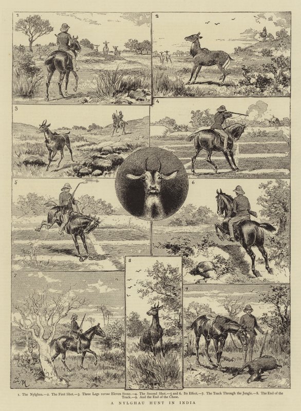 Caza de Nylghau en India de Adrien Emmanuel Marie