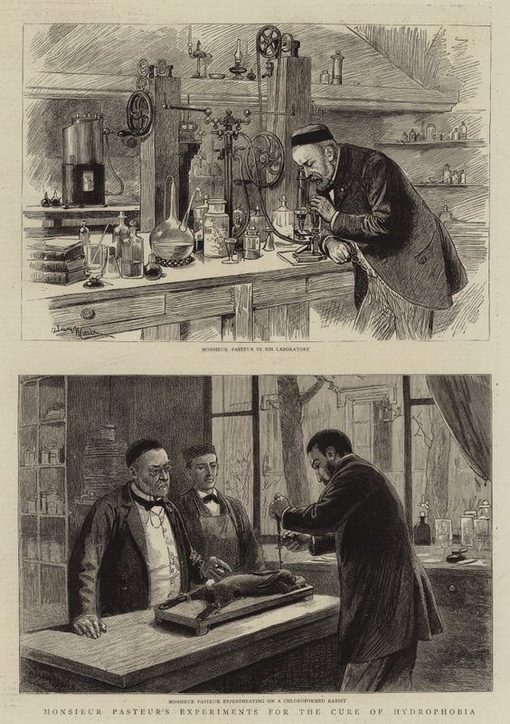 Experimentos del señor Pasteur para la cura de la hidrofobia de Adrien Emmanuel Marie