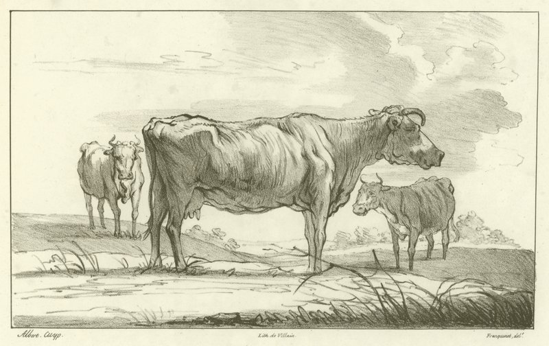 Tres vacas de Aelbert Cuyp