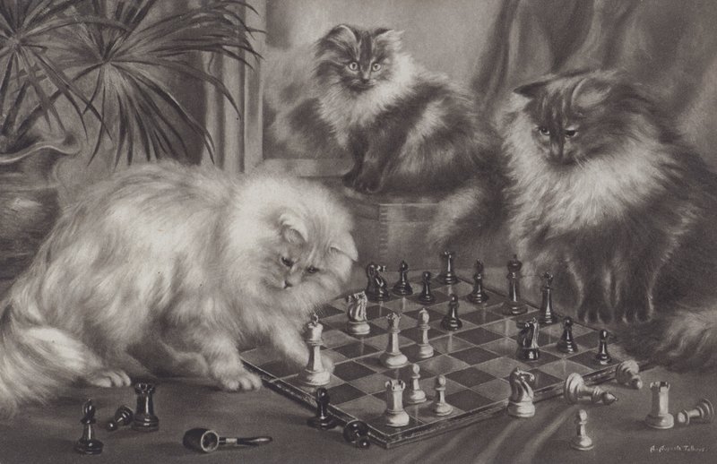 Grupo de gatos jugando con piezas de ajedrez de Agnes Augusta Talboys